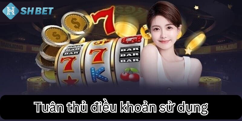 Điều Khoản Sử Dụng SHBET – Quy Định Quan Trọng Cần Biết - cufela