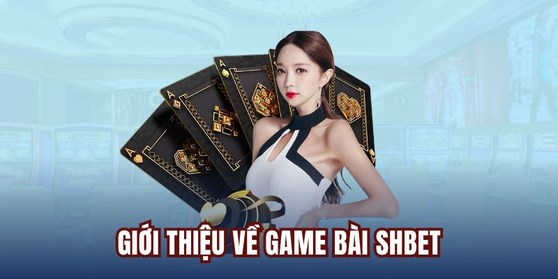 Tin Tức - SHBET - cufela