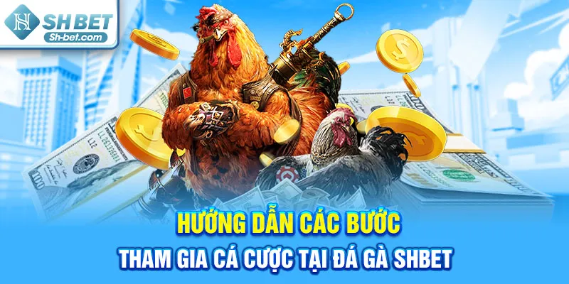 Đá Gà SHBET - Giải Trí Đỉnh Cao Với Những Trận Đấu Hấp Dẫn - cufela