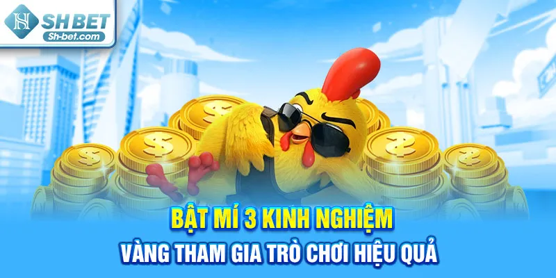 Đá Gà SHBET - Giải Trí Đỉnh Cao Với Những Trận Đấu Hấp Dẫn - cufela