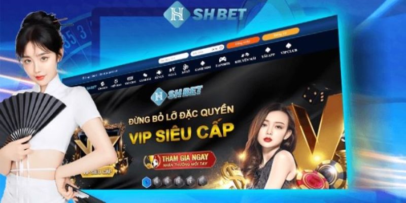 Tin Tức - SHBET - cufela