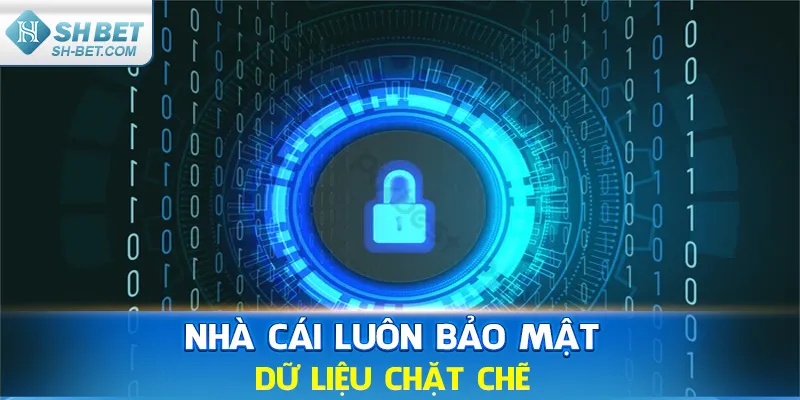 Thể Thao SHBET - Sân Chơi Đặt Cược Đỉnh Cao Hấp Dẫn - cufela
