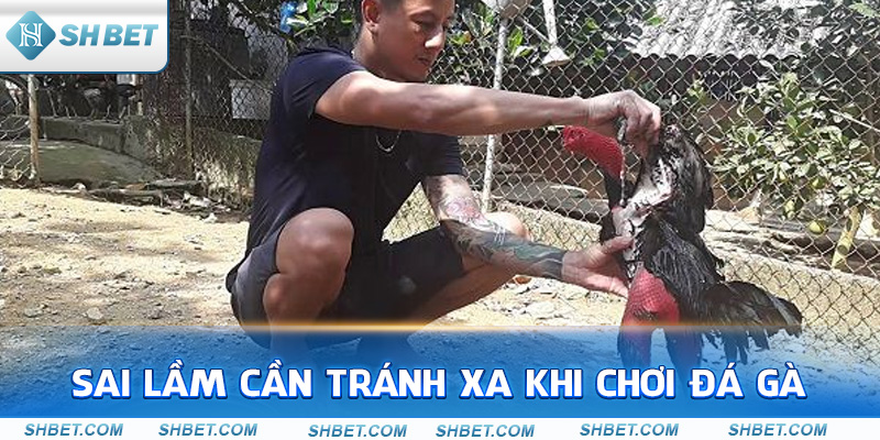 Hướng Dẫn Cách Vào Nghệ Cho Gà Chọi Chuyên Sâu - cufela
