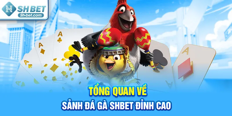 Đá Gà SHBET - Giải Trí Đỉnh Cao Với Những Trận Đấu Hấp Dẫn - cufela
