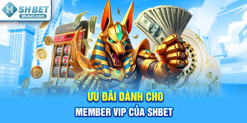 Khuyến Mãi SHBET - cufela