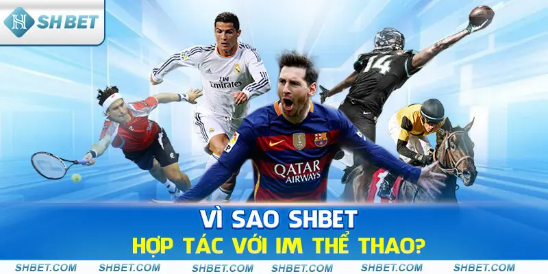 IM Thể Thao – Sảnh Cược Chuyên Nghiệp Hàng Đầu - cufela