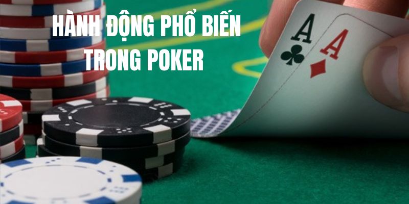 Luật Chơi Poker Online Chi Tiết Nhất Bật Mí Cho Những Tân Binh - cufela