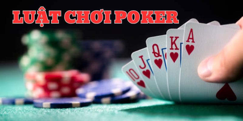 Casino SHBET - Sảnh Đánh Bạc Online Đào Tiền Thưởng Dễ Nhất 2026 - cufela