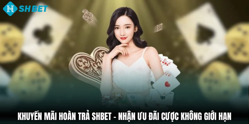 Tin Tức - SHBET - cufela