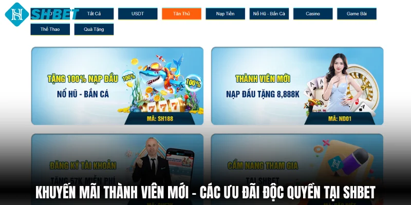 Tin Tức - SHBET - cufela