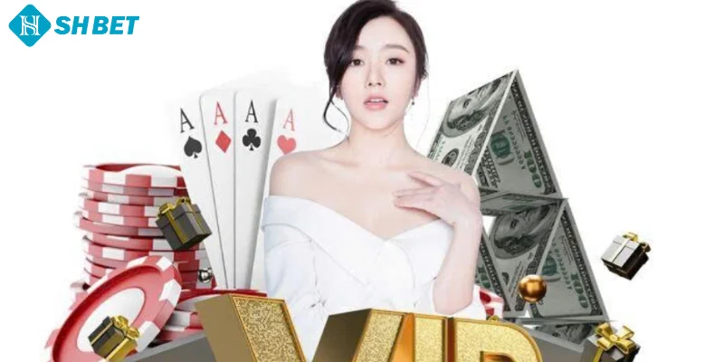 Thành Viên VIP SHBET - Đặc Quyền Có 102, Không Nên Bỏ Lỡ! - cufela