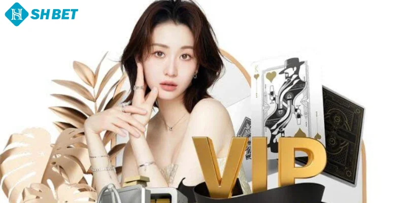 Thành Viên VIP SHBET - Đặc Quyền Có 102, Không Nên Bỏ Lỡ! - cufela